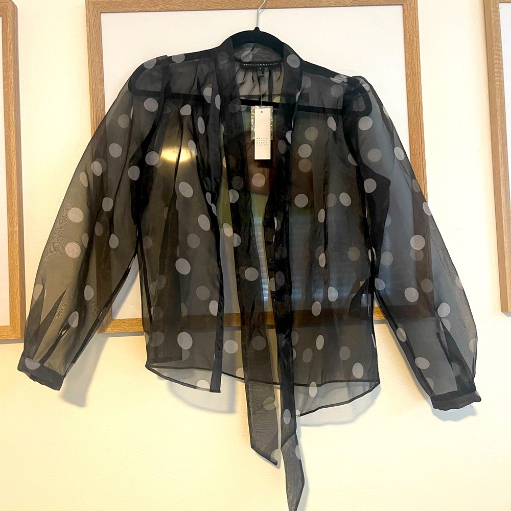 Long sleeve sheer blouse.